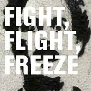 fight flight freeze