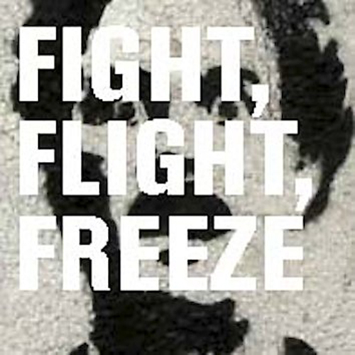 fight flight or freeze